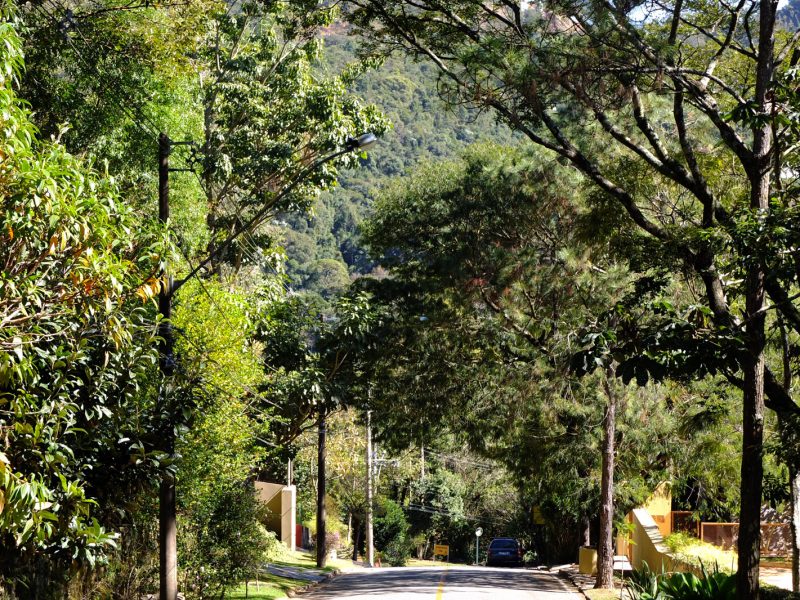 Alameda e mata